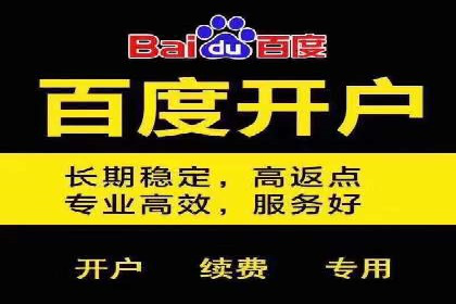 百度推广优化：案例分析网站流量翻倍技巧